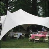 20&#39; x 20&#39; Eureka Capri Party Canopy Tent