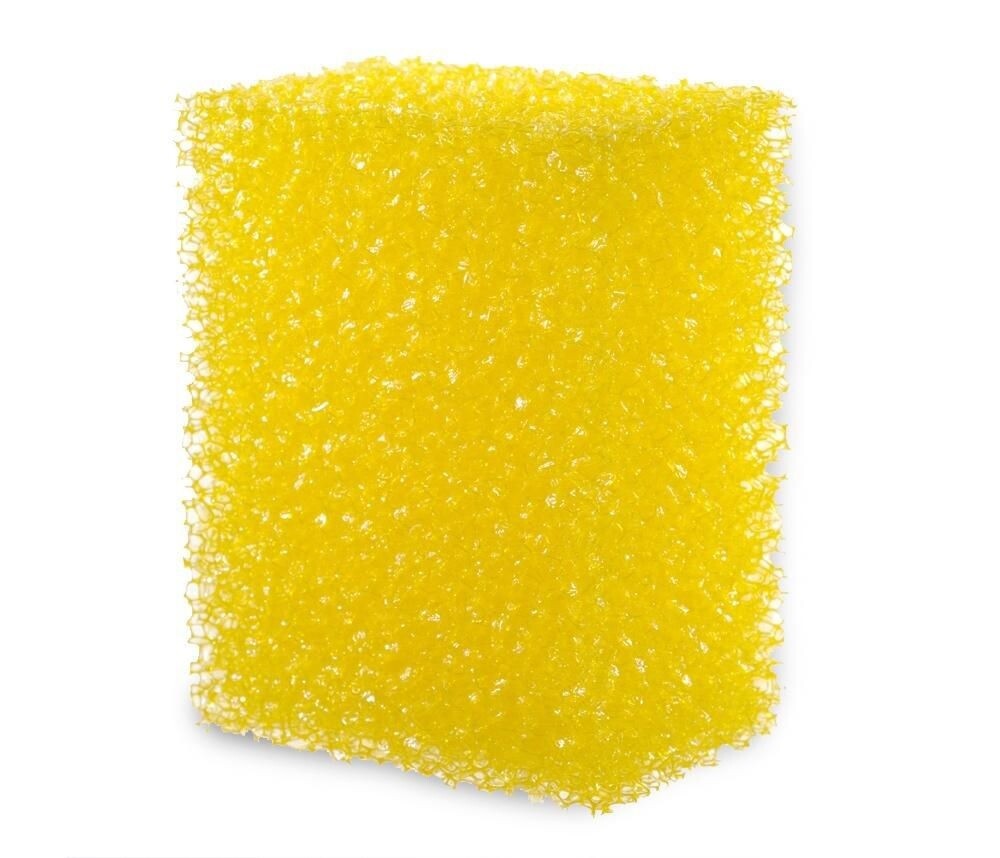 Body Wonder Sponge