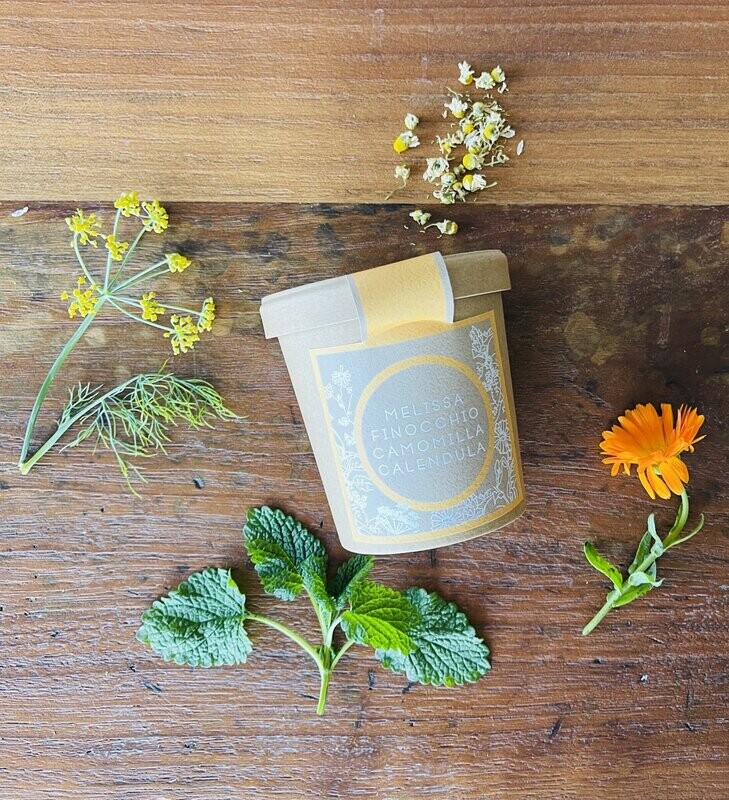 CALENDULA, FINOCCHIO, CAMOMILLA, MELISSA | Infuso sfuso