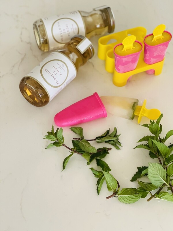 SCIROPPO BIOLOGICO DI MENTA DI MONTAGNA - DISPONIBILE A BREVE