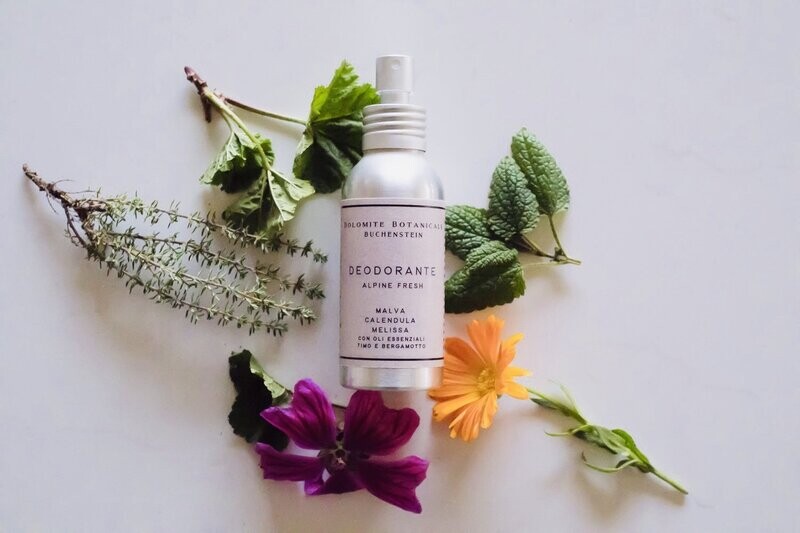 DEODORANTE Alpine Fresh