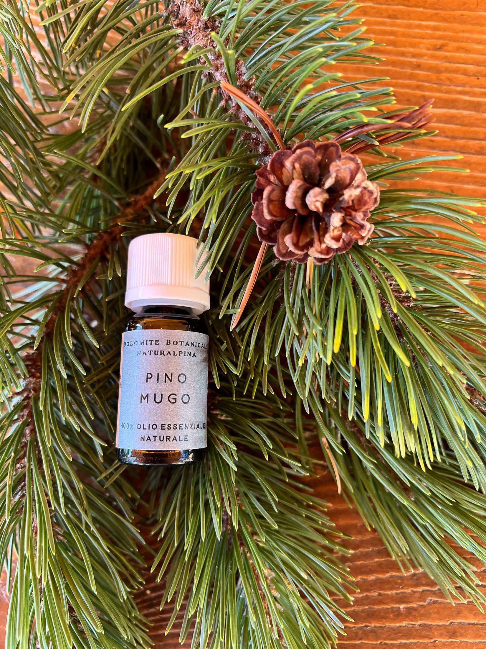 OLIO ESSENZIALE DI PINO MUGO