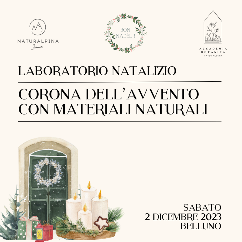 Laboratorio natalizio: CORONA D'AVVENTO con materiali naturali