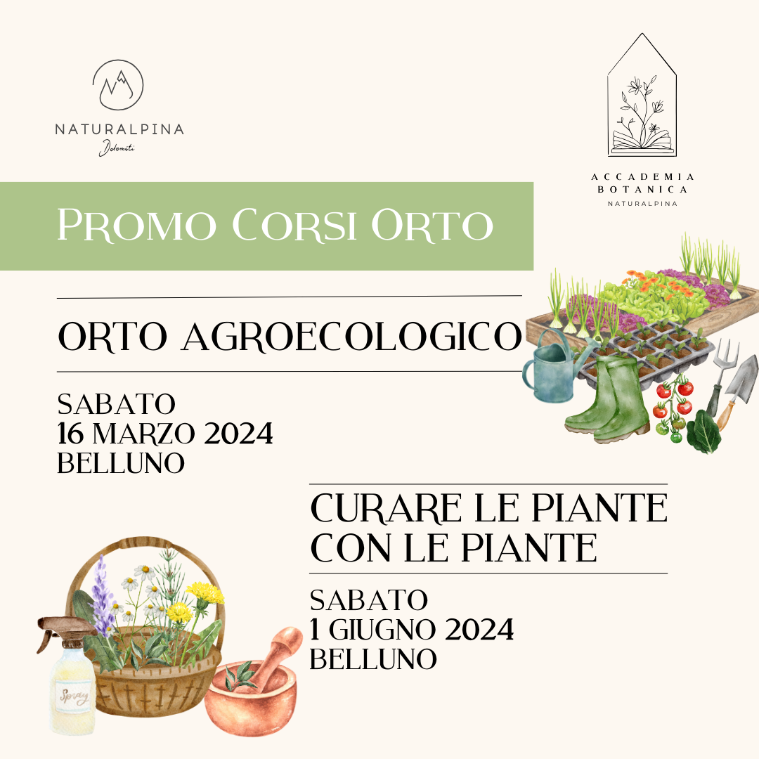 PROMO CORSI ORTO Orto agroecologico & Curare le piante con le piante