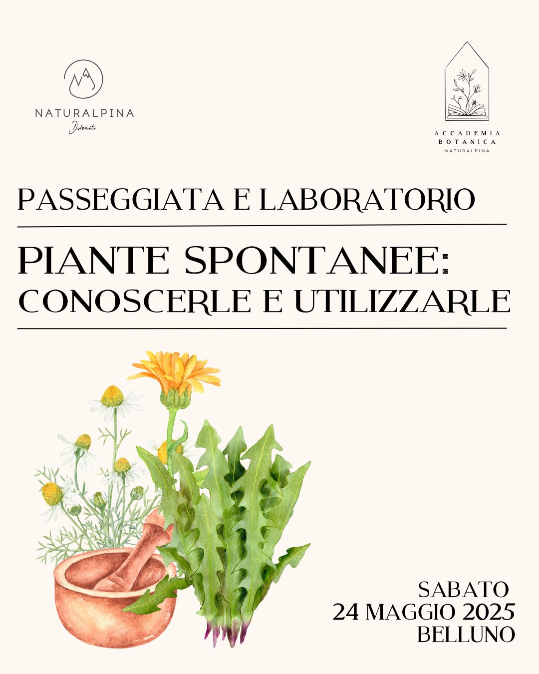 Passeggiata e Laboratorio: PIANTE SPONTANEE, conoscerle e utilizzarle