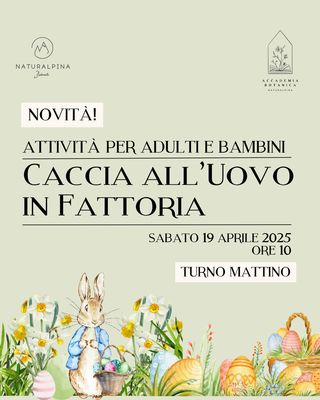 Caccia all'uovo in fattoria MATTINO