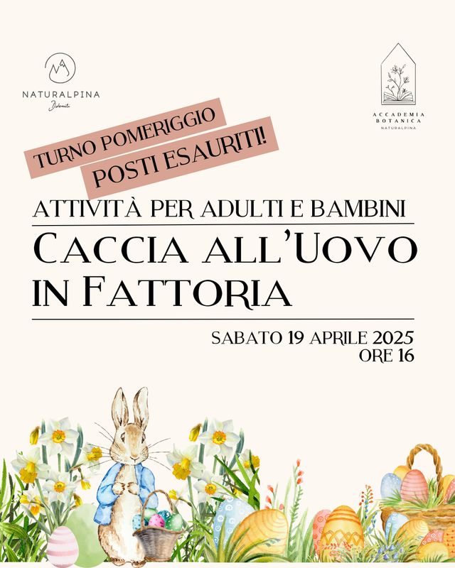Caccia all'uovo in fattoria [POMERIGGIO: SOLD OUT]