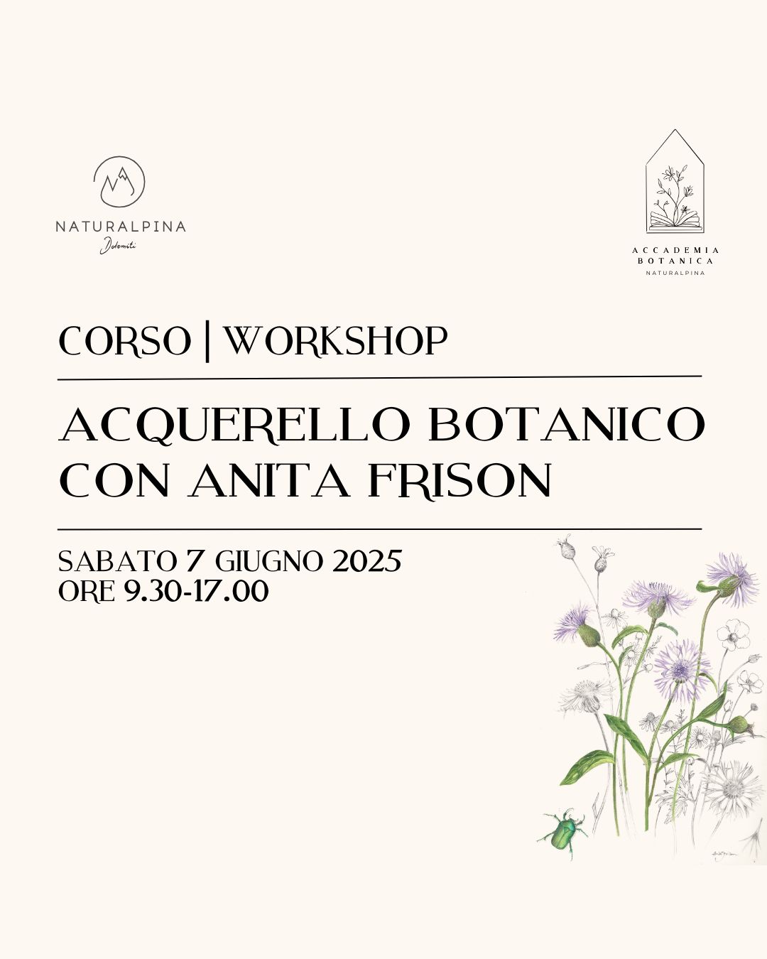 Acquerello botanico | Corso & Workshop con Anita Frison