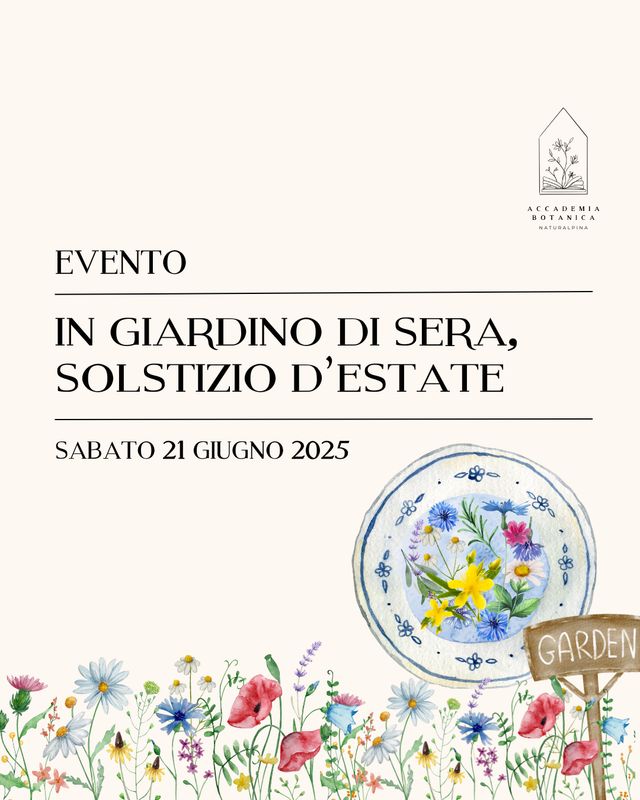 Solstizio d'estate | In giardino di sera