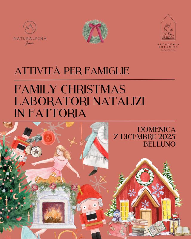 Laboratori Natalizi in fattoria | Family Christmas (turno DOMENICA)