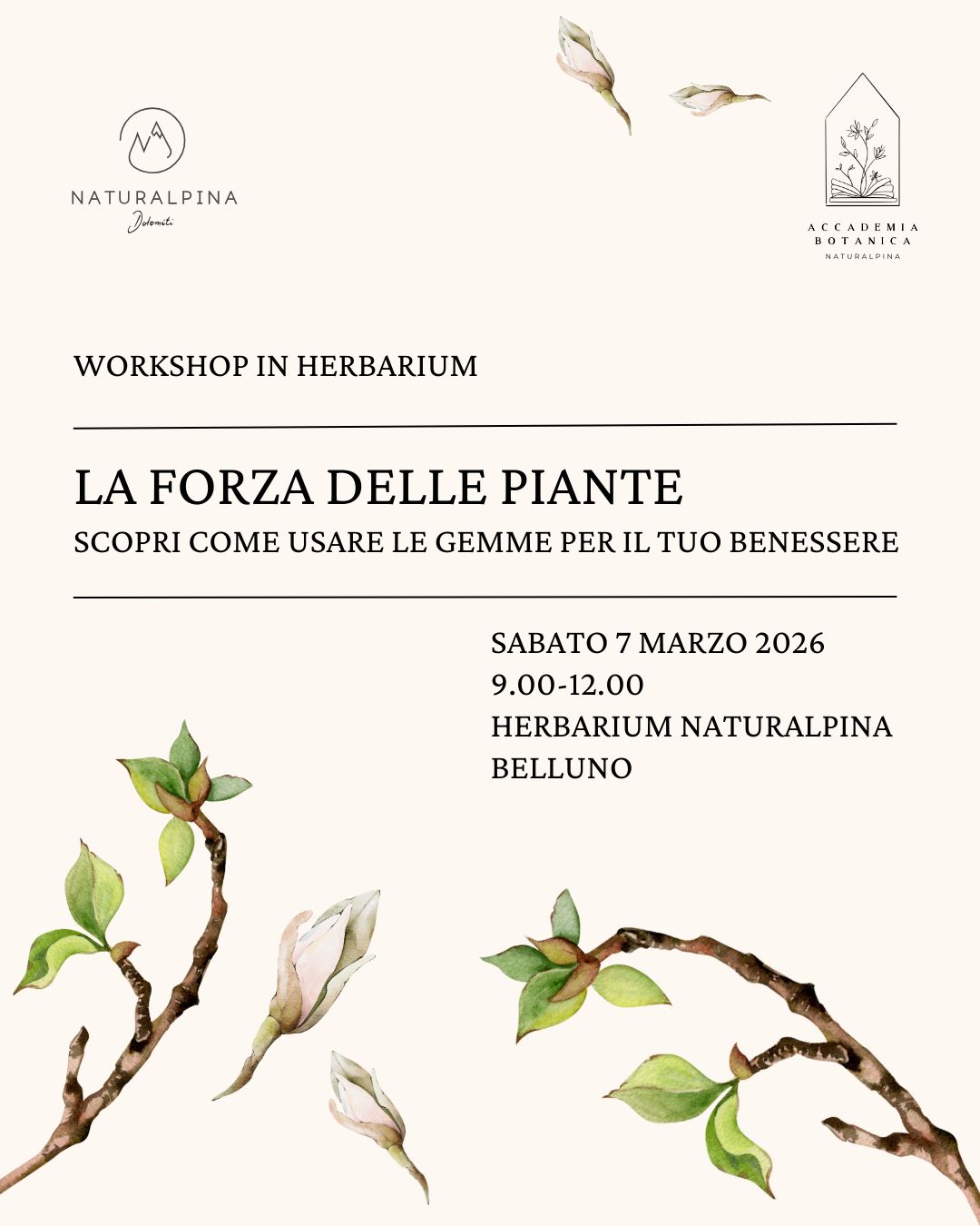 WORKSHOP - LA FORZA DELLE PIANTE