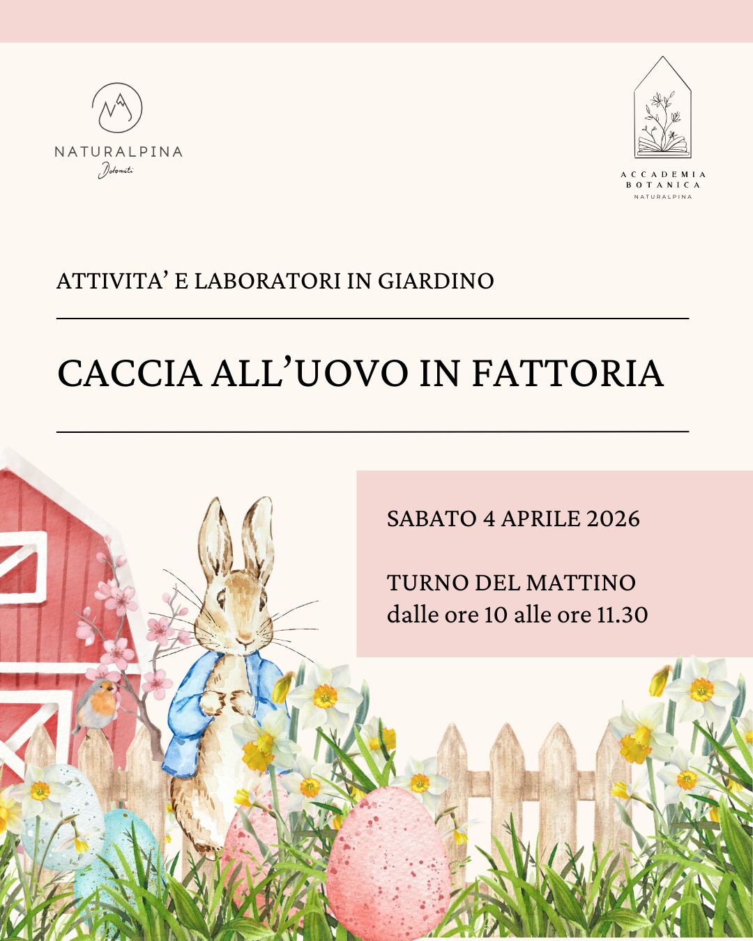 CACCIA ALL'UOVO IN FATTORIA - MATTINO CACCIA ALL'UOVO IN FATTORIA - MATTINO