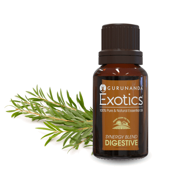 Digestive Essential Oil Blend