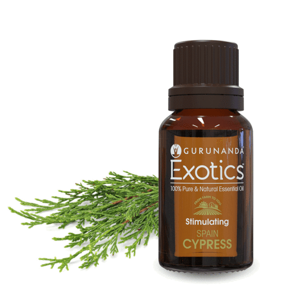 Cypress Essential Oil