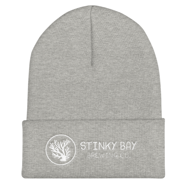 Cuffed Beanie