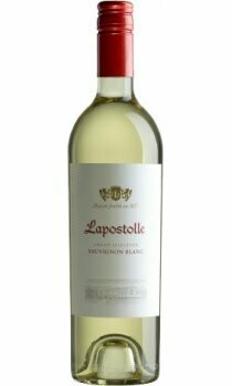 Sauvignon Blanc, Chile