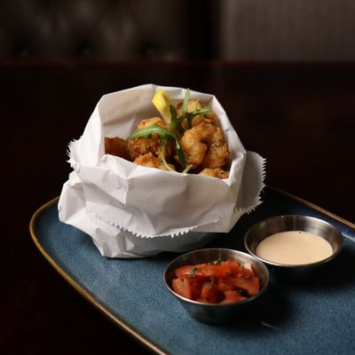 Calamari of the Red Sea