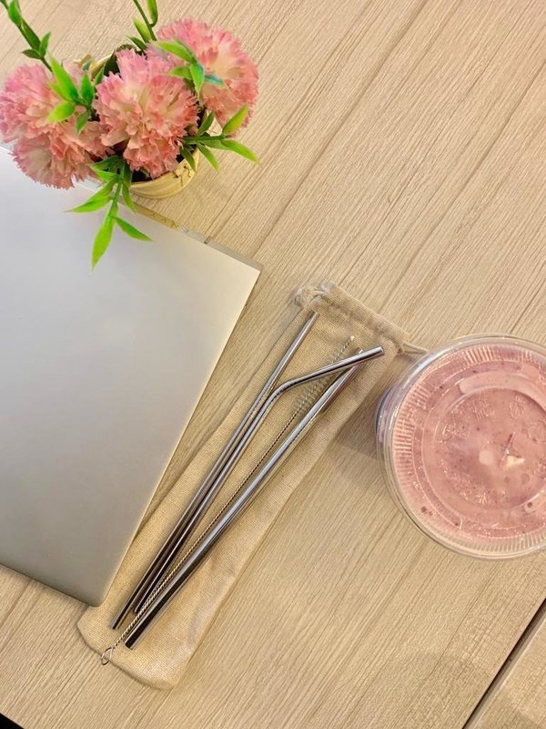 Metal Straw Set (Silver)