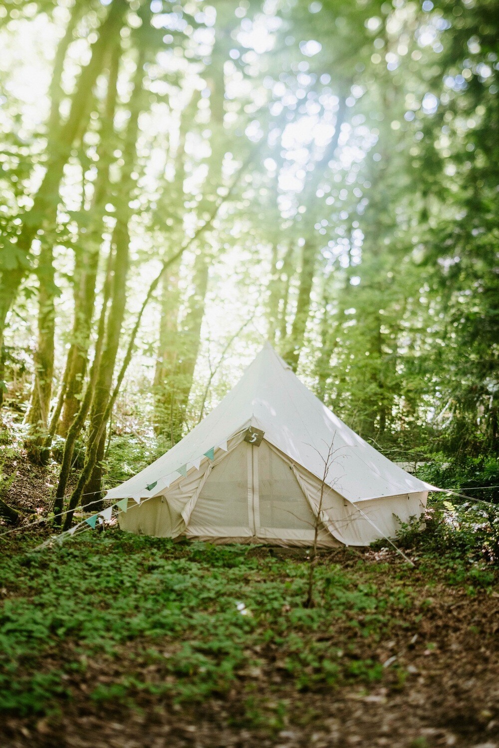 Medium Bell Tent (4 meter) Fully Furnished at Dianne &amp; Shane&#39;s Wedding
