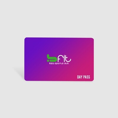 Day Pass 91062