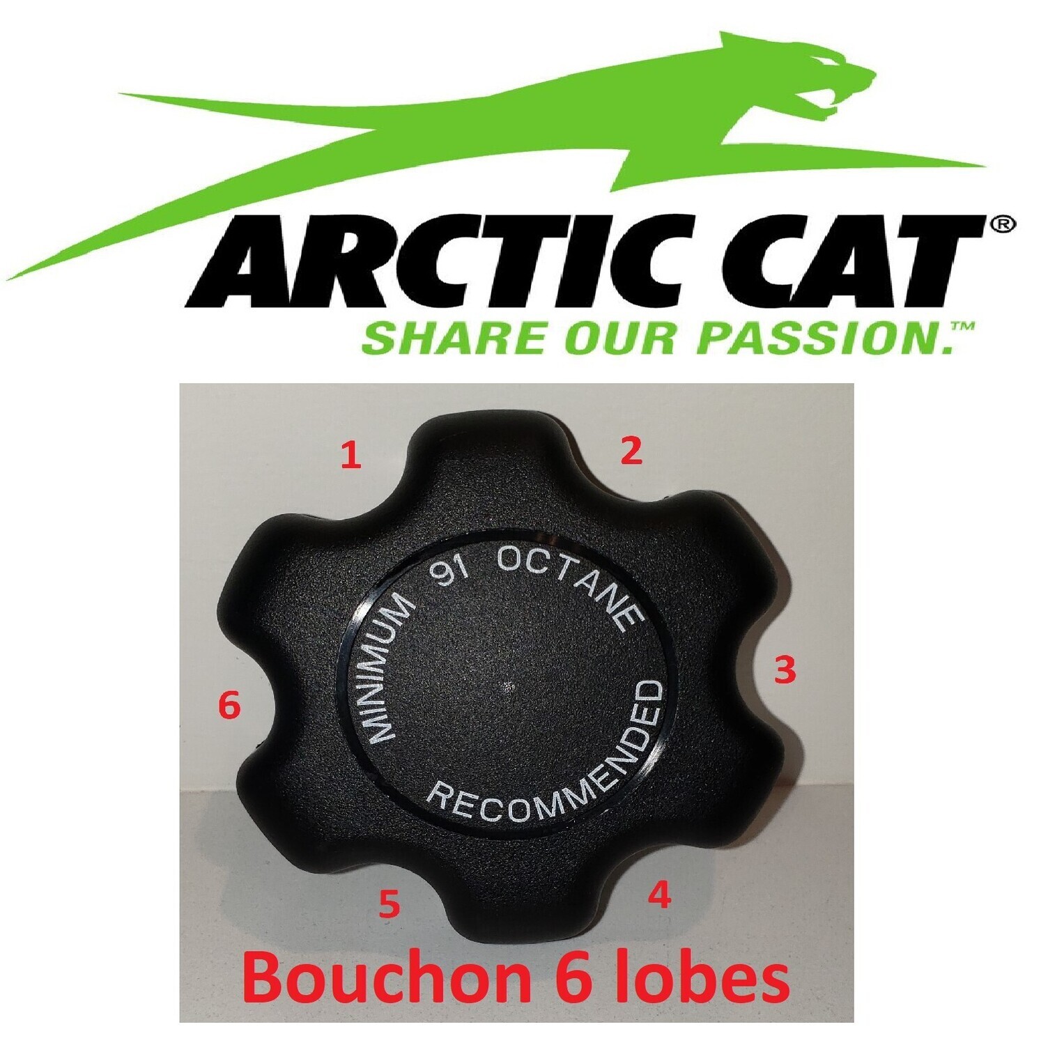 Arctict Cat