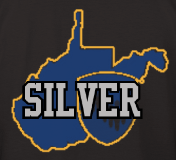 Sponsorship Level 2 - Silver