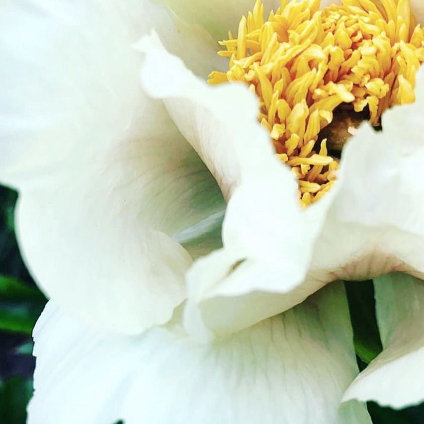Atelier « Aquarelle et Jardins » - Samedi 12 juillet de 9h à 11h30