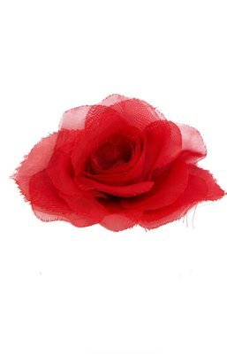 ROSA ORGANZA