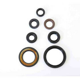 Motor Simmerring Kit ab