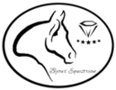 Bijoux Equestrian