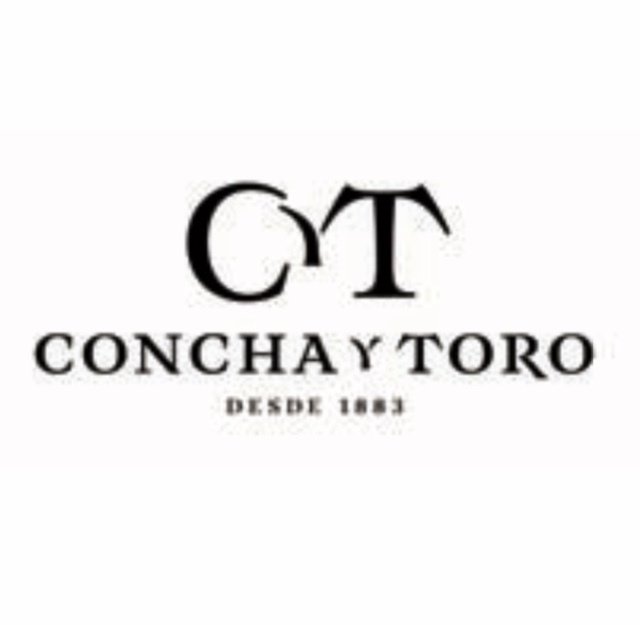 Casillero del Diablo 375 cc