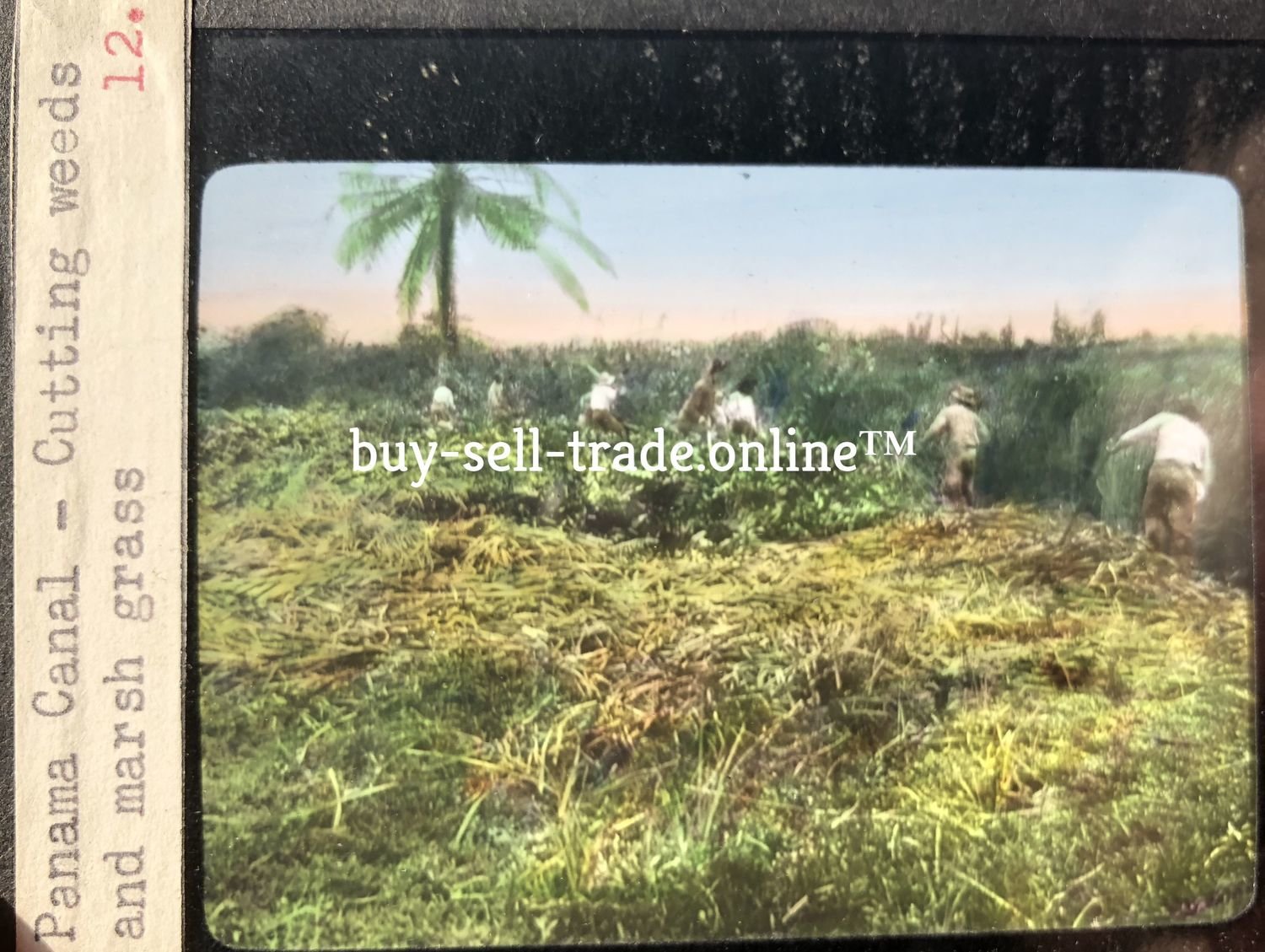 Magic Lantern Glass Slide Photo Panama Canal