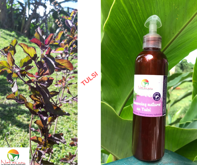 Shampooing naturel au Tulsi - 250ml