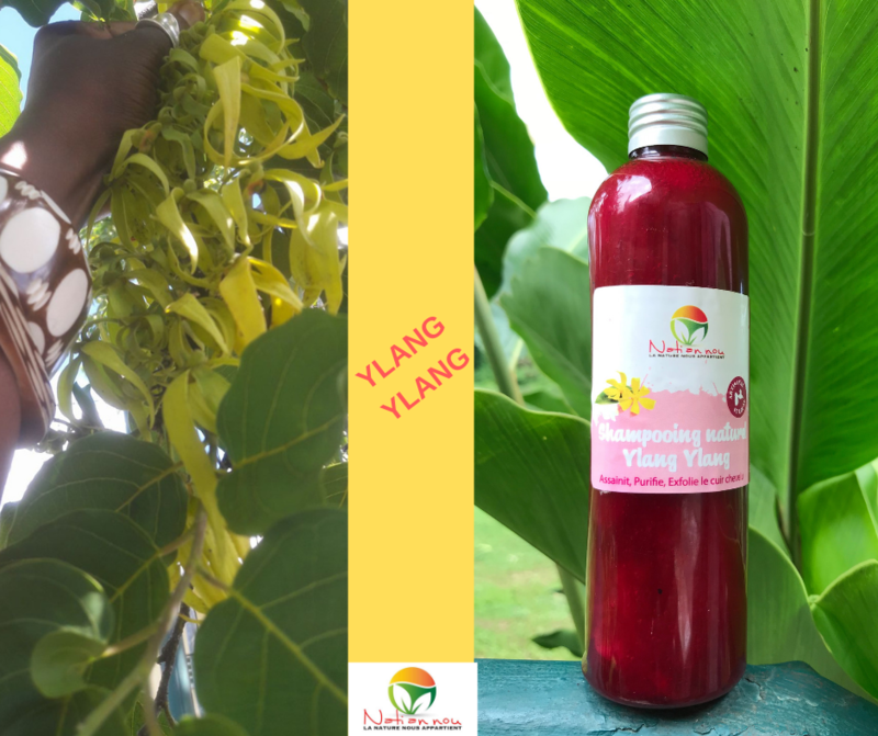 Shampooing Ylang Ylang - 250 ml