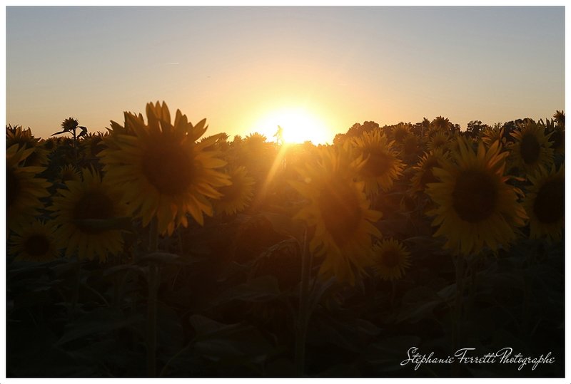 Agrandissement : Photo seule en 20x30