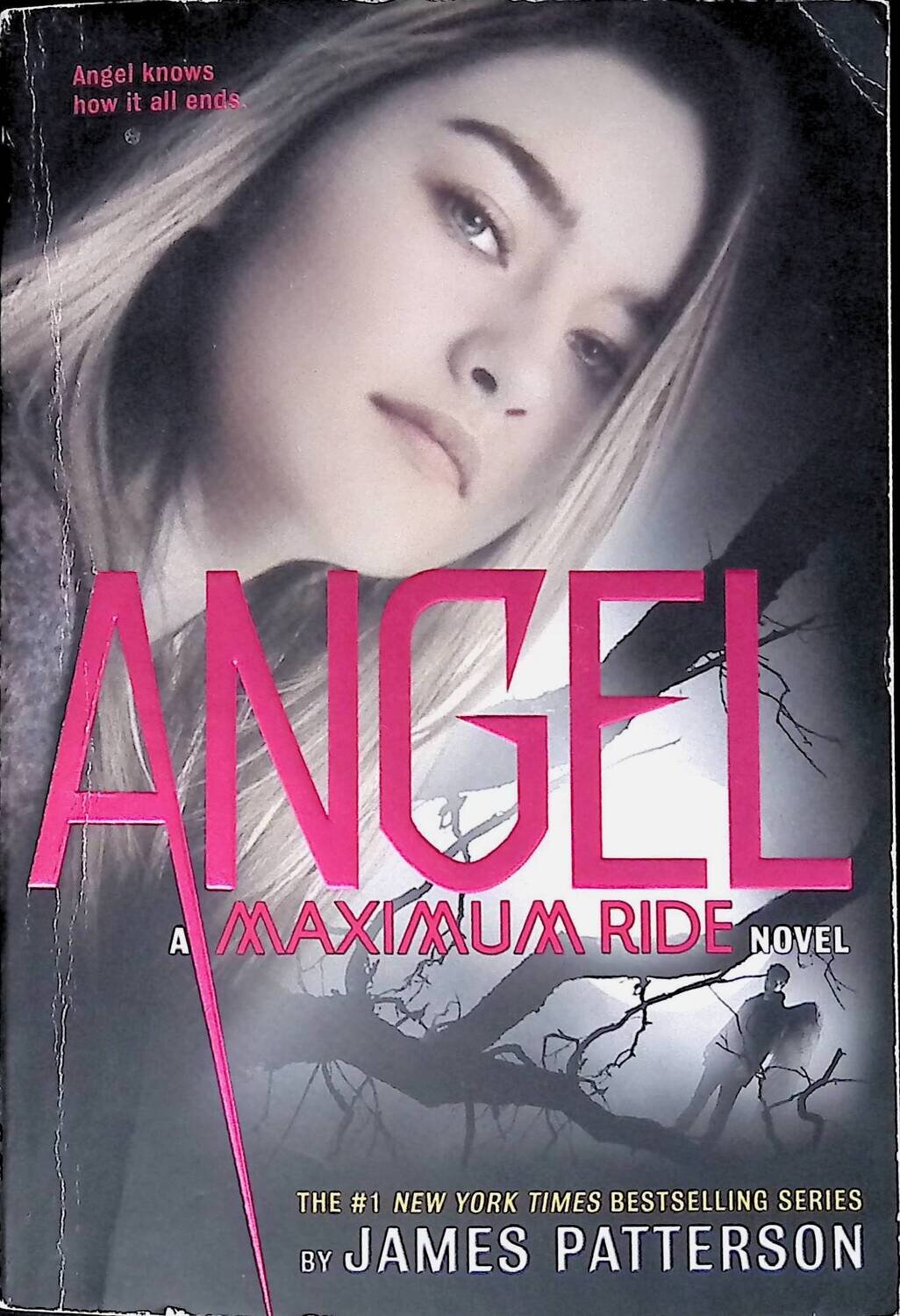 Angel: A Maximum Ride Novel; Patterson James