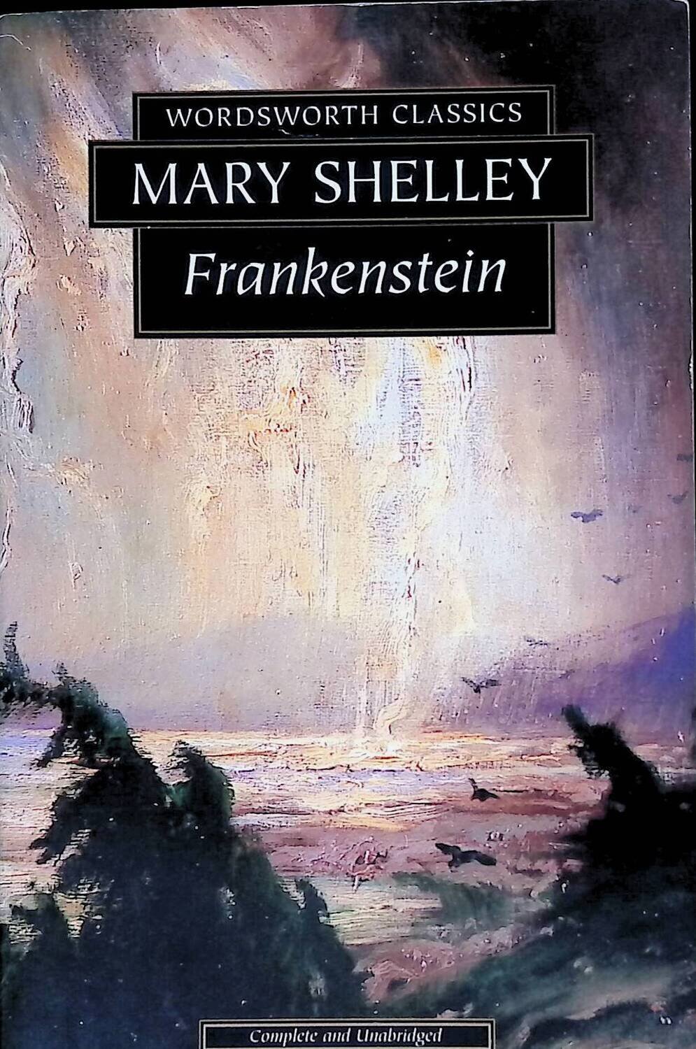 Frankenstein; Shelley Mary