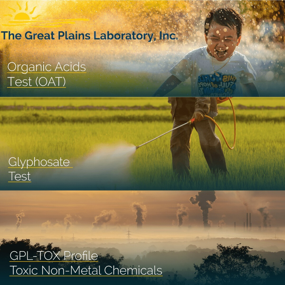 ENVIROtox Complete Panel (GPL-TOX + OAT + Glyphosate) + MycoTOX Profile (Mold Exposure) 4 tests in one USA only