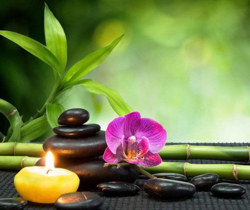 Ayurvedic &amp; Personal Care Products.