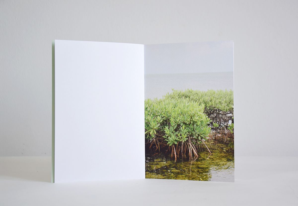 Grand Cayman - ARCHIVES 04