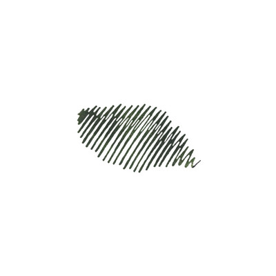 Vinta Ink 
- Collection 1.0 
- Emerald 
- Carlos 1960 (Shading)
- 30ml