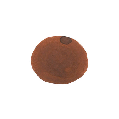 Vinta Ink 
-  Collection 3.0 
- Ochre 
- Fortaleza 1797 (Shading)
- 30ml Glass Bottle
