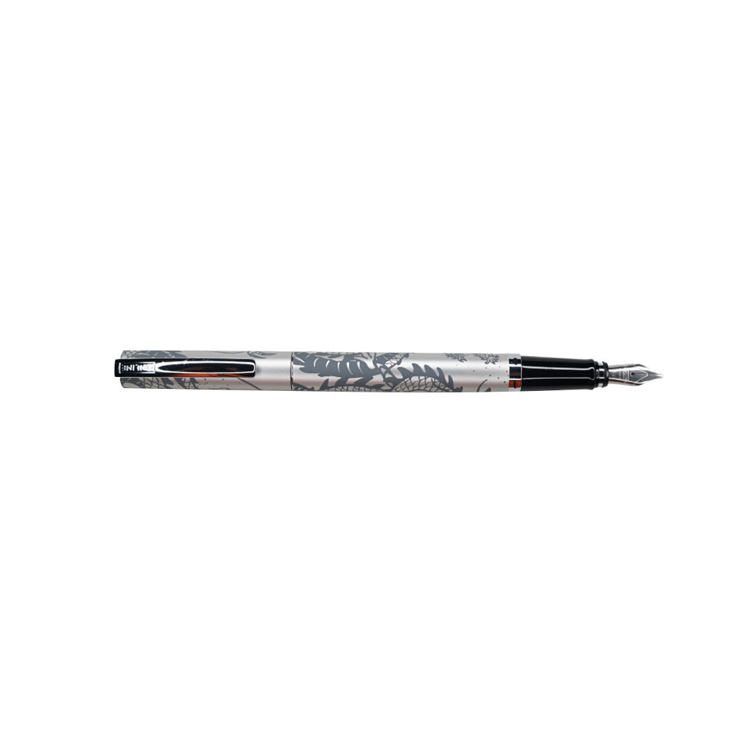 Online Calligraphy set with 3 nibs, Vision Silver in Book Box