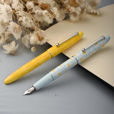 Hongdian Fountain Pen Model C3