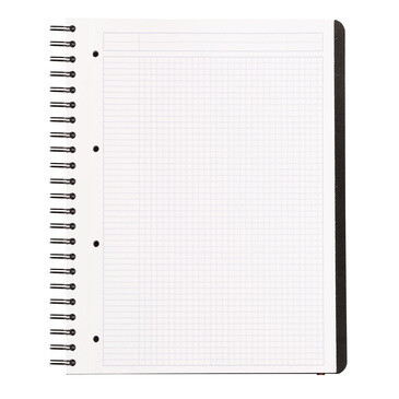 RHODIACTIVE ProBook wire bound 21x31,2cm 80sh. margin corner perforated square 5x5 framed 4 holes punched 90g