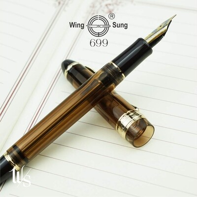 Wing Sung 699 - Piston Filled  - 0,5 mm (F) Steel Nib