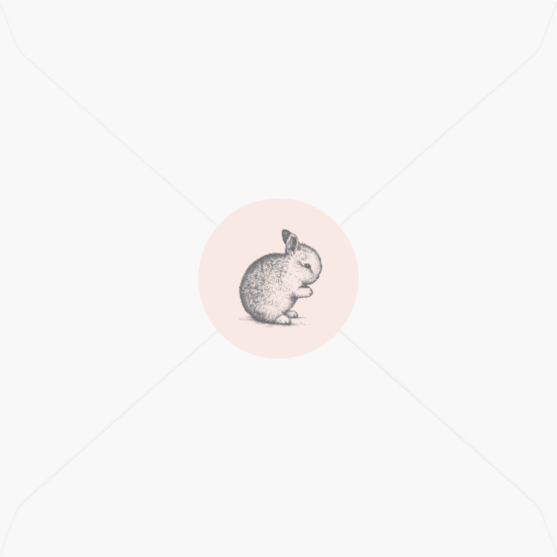 Stickers de naissance petit lapin pour fille
