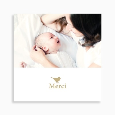 Carte de remerciement naissance oiseau et motif petits cœurs