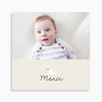 Carte de remerciement naissance petit lapin marin et sa mouette