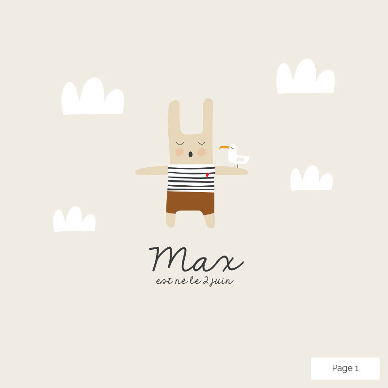 Faire-part de naissance lapin marin et sa mouette (dépliant 4 pages), Choix du coloris: Glace au yaourt